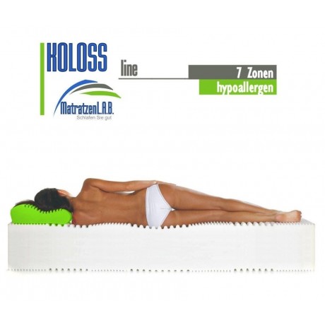 KOLOSS line XL 65 x 200 H4